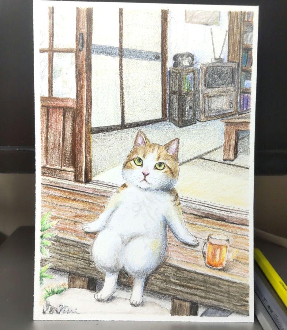 

[Б/У] Кот, смотрящий на облака на летней веранде