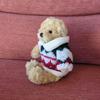 [USED] DreamingBears teddy bear with sweater