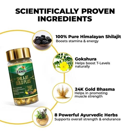 Zandu Capsule di Shilajit, arricchite con la bontà degli estratti naturali di Shilajit, aiutano a rafforzare l'immunità - 60 capsule vegetariane