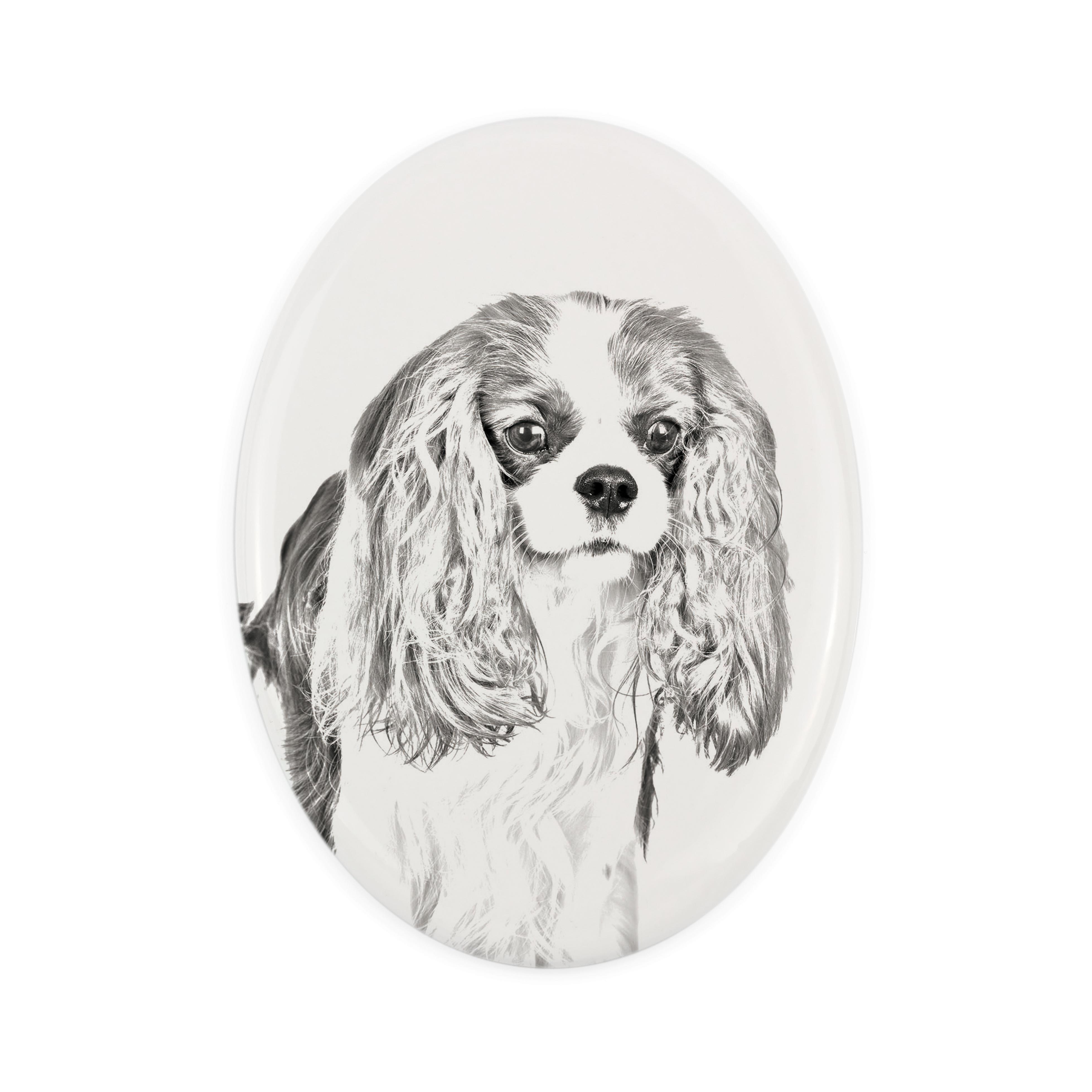 

Cavalier King Charles Spaniel - commemorative plaque with a photo of a dog, tombstone with a print, personalized oval plaque from the Art-Dog brand білий