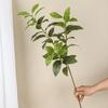 Künstliche Pflanze mit langem Zweig Foto-Requisiten Ästhetisch Ausgezeichnete Innendekoration Künstliche Osmanthus-Blätter Schreibtischdeko