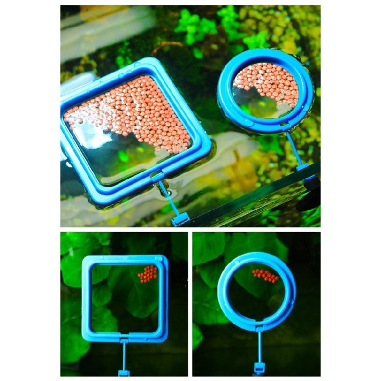2lots Fish Tanks Aquariums Feeding Rings Aquariums Fish Feeders Suction Cup Fish Enthusiasts Essential