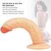 Realistic Penis Big Dildo Silicone Flexible With Suction Cup Artificial Penis Female Masturbator Sex Toys
