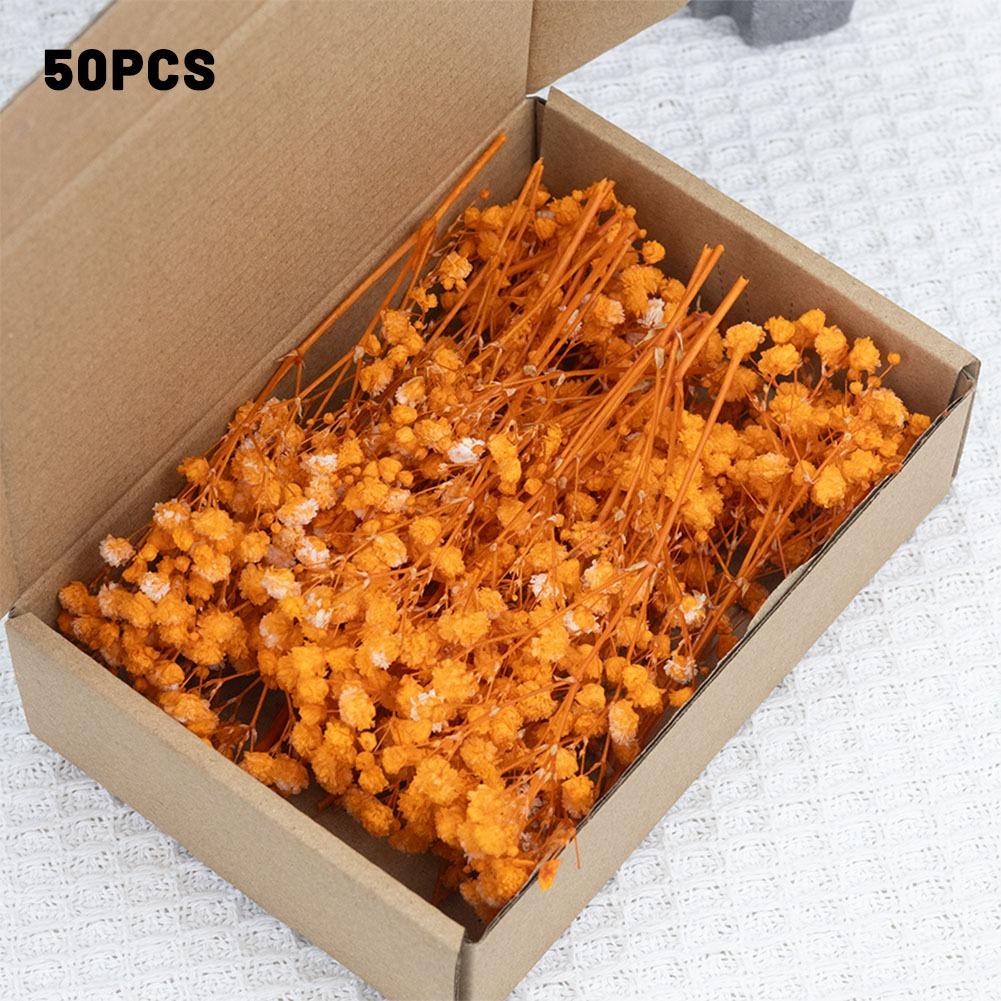 

50pcs 6-15cm Natural Fresh Dried Flowers Gypsophila paniculata,Baby s Breath Flower bouquets, Wedding Home Decoration оранжевый