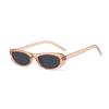 Fashionable Small Frame Cat Eye Black Women's Sunglasses Spring and Summer Vacation Beach Party Men's Accessories