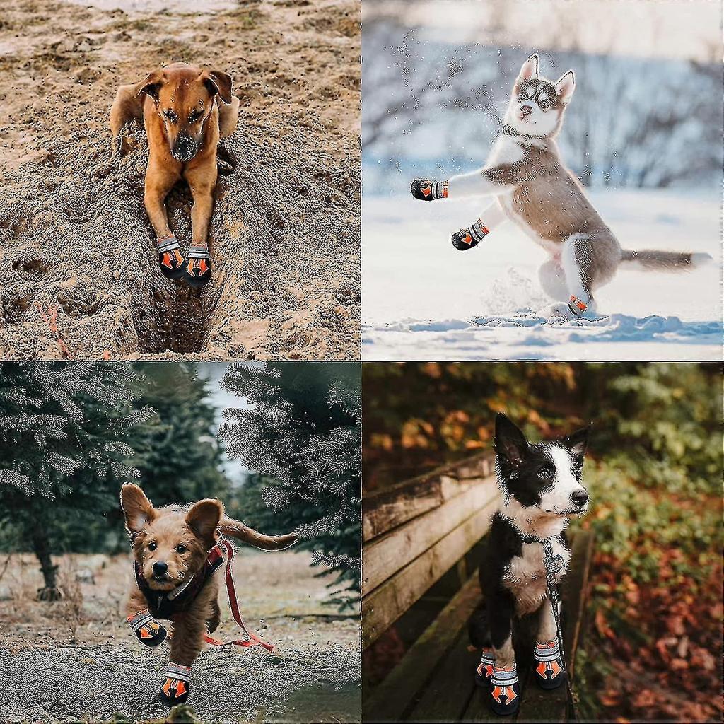 Hundestiefel, 4 Stück Wasserdichte Hundestiefel Mit Reflektierenden Riemen, Pfotenschutz Für Kleine, Mittlere An