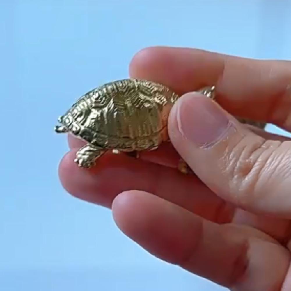 Retro Golden Coin Turtle Brass Handle Vintage Wardrobe Drawer Pulls Cabinet Door Knobs  Kitchen