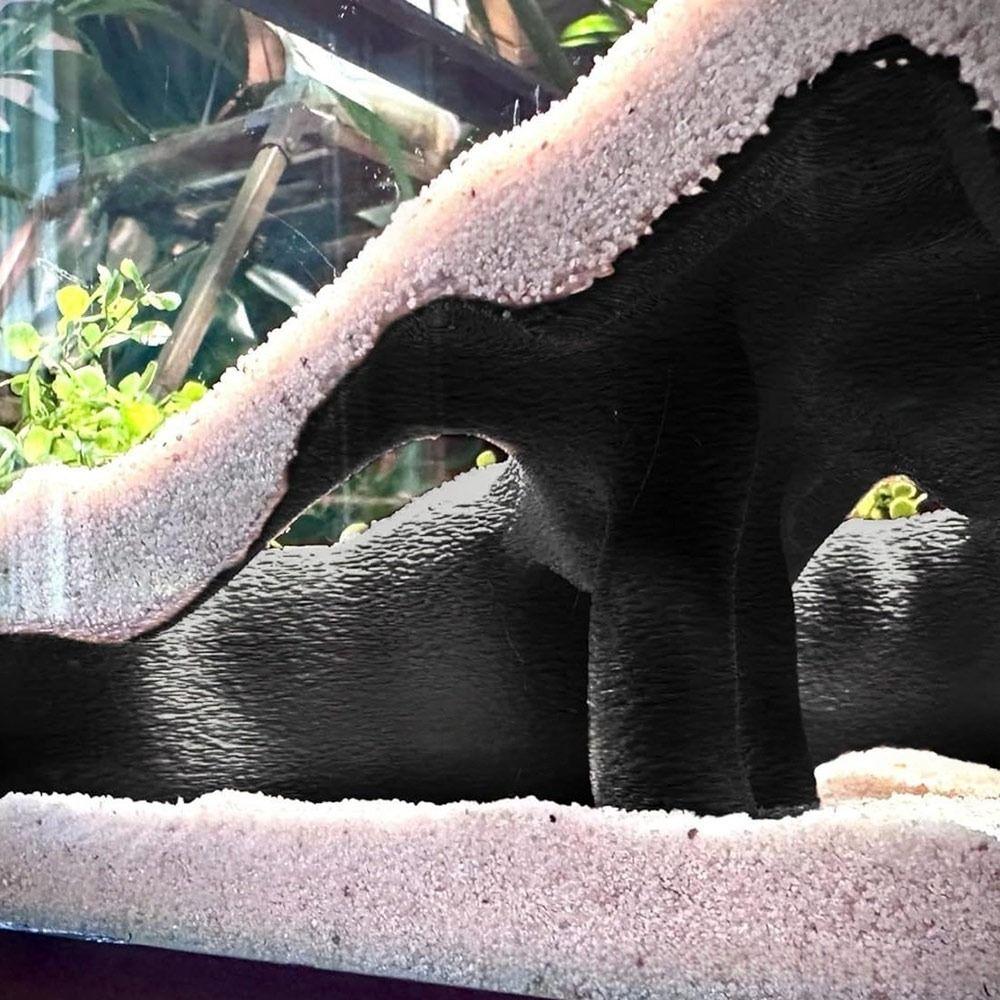 Textured Root Style Fish Hideout Faux Mangrove Root Tunnel Cave  for Fish Tank Decoration