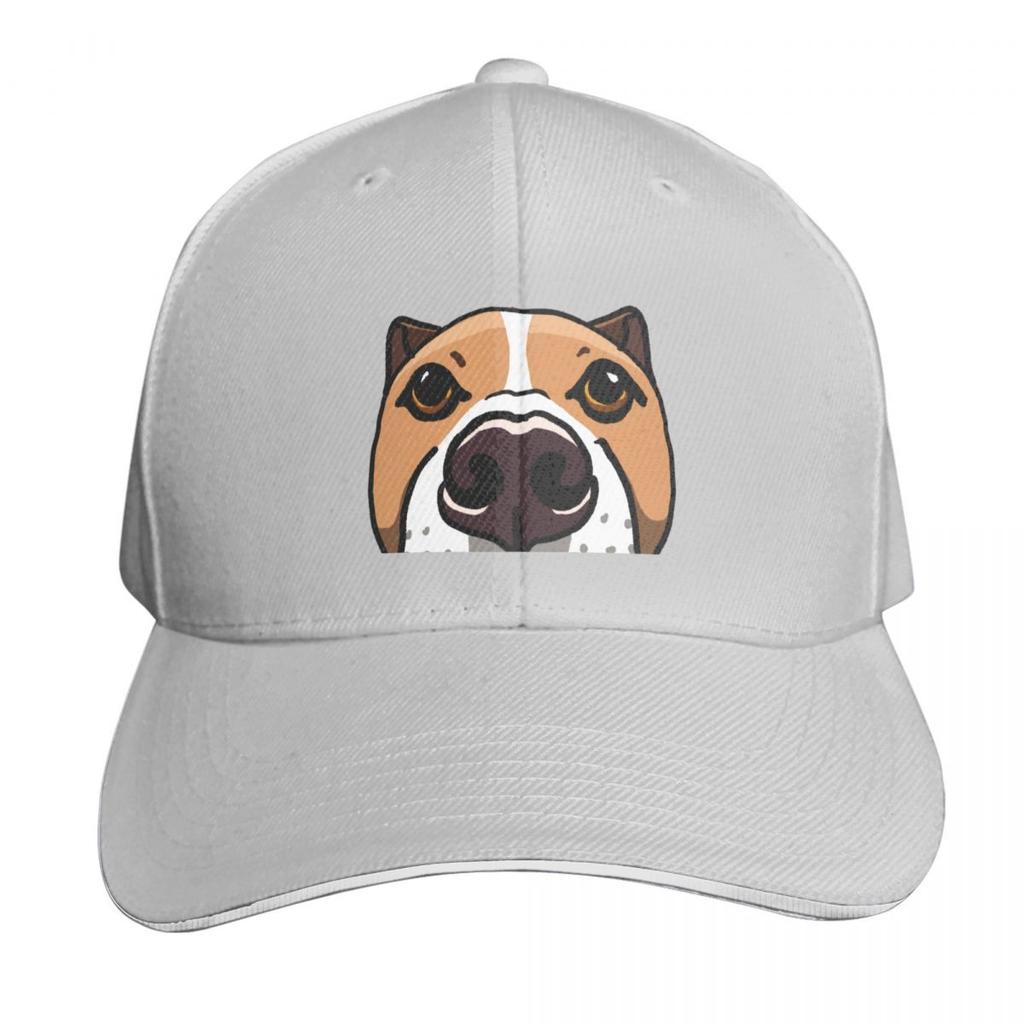 Can I Come Over and Look at You Like This Baseball Cap luxury caps New In The Hat fashionable Rugby For Unisex Womens