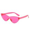 Purple Black Red Sunglasses Cateye Eyewear Women Brand Designer Small Triangle Vintage Sun Glasses Retro Sexy Cat Eye Sunglasses