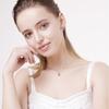 New 925 Sterling Silver Women Necklace Fashion Beautiful Blue Pink Zircon Flowers Pendants Clavicle Chain Jewelry Gift
