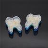 50Pcs Dental Temporary Crowns Resin Anterior Molar Teeth Veneers Dentist Oral Hygiene Products