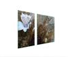 GLAS-KOCHFELD-SCHUTZPLATTE 90x52 ORCHIDEE