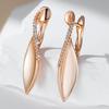 Trend Rosegoldfarben Glänzende Tropfenohrringe Für Damen Mode Kreativ Natürlicher Zirkon Einzigartig Romantisch Alltagsschmuck