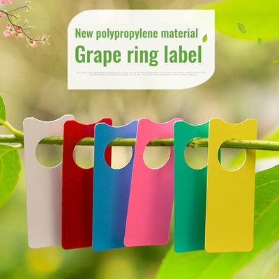 100 Stück Gartenetiketten, Aussaatmarkierung, Schild für Pflanzen, Trauben, Kunststoff-Tags, Karte