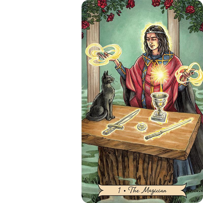 Mazzo di carte dei tarocchi delle streghe di tutti i giorni Oracle per giochi di carte con mazzi per feste in famiglia