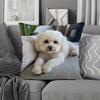 1Pc Lying Bichon Frise Printed Throw Pillow Cover, Suitable For Sofa, Bedroom, Living Room, A Heartwarming Gift For Dog Lovers.