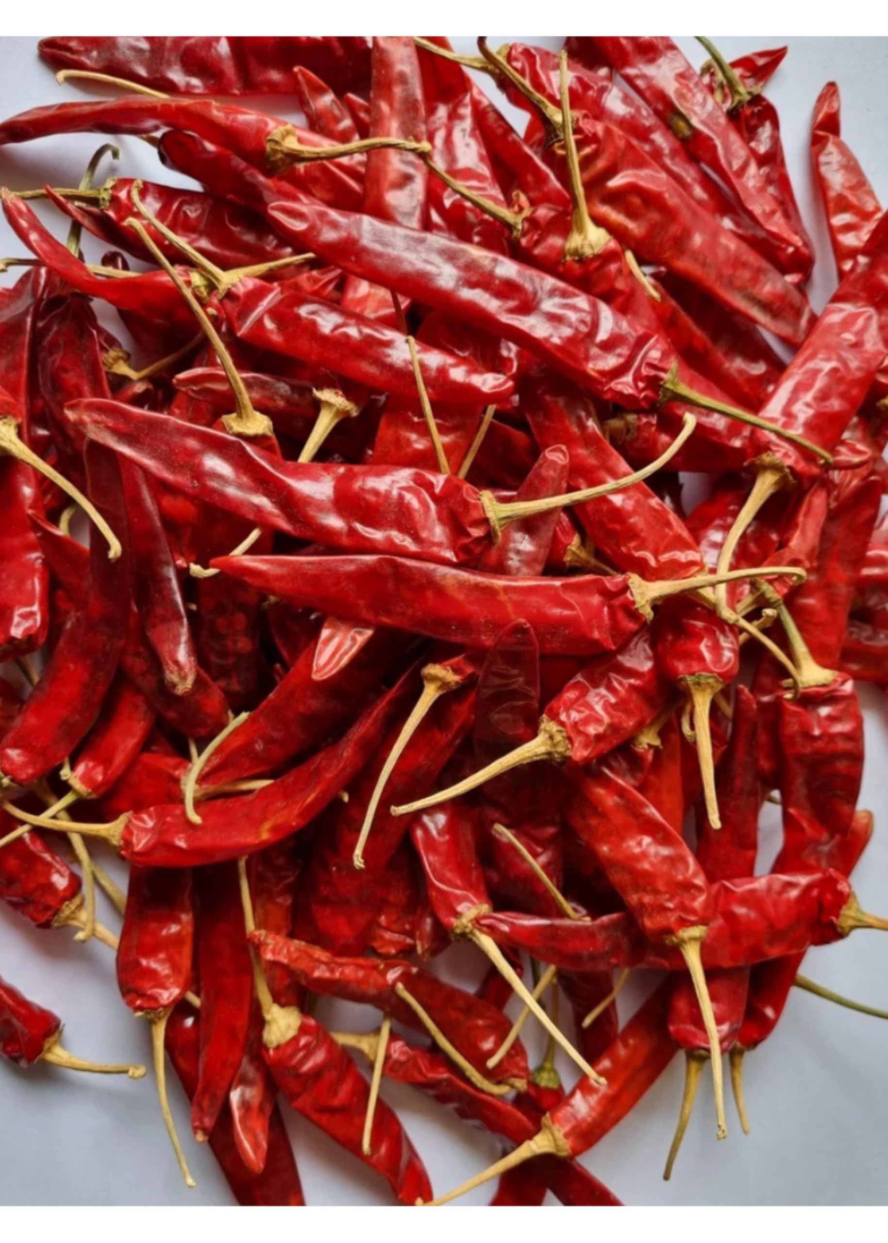 Spice Meve Dried Pandi Chilli 300g (Sabut Lal Mirchi) | South Indian Medium-Spicy Red Chili for Curries & Spice Blends | 100% Natural Cooking Ing