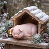 Modern Resin Sleeping Pig Figurine for Home Decor Minimalist Animal For sculpture for Indoor Outdoor Decoration