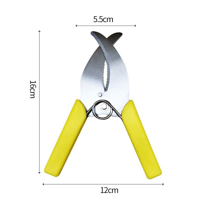 Stainless Steel Grafting Tool, Professional Gardening Pruning Scissors, with Bark Cutter, Fruit Tree Sapling Grafting Ring Knife