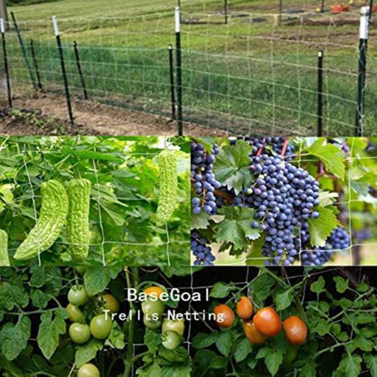 Climbing Net High Elasticity Good Stretching Force Polyester Climbing Plants Garden Trellis Netting for Outdoor