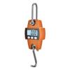 Industrial Electronic Crane Scale, 300kg Capacity, Portable Hook Hanging Scale
