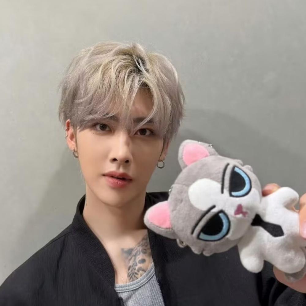 10Cm Plush Keychain And2Ble Zhanghao Ricky Han Yujin Fans Pop Up 3D Cartoon Pp Cotton Soft Embossed Plush Toy Fans Bag Charms