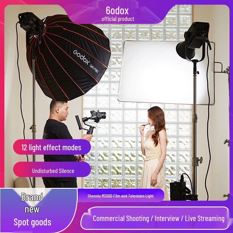 Godox M300D LED Video Light