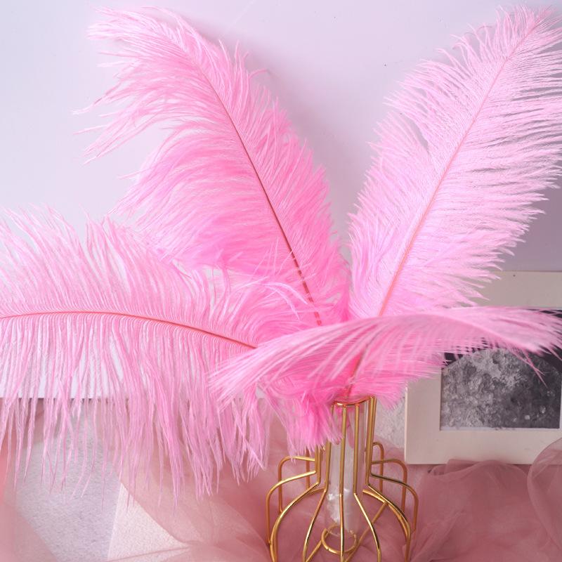 Color 20-25Cm Ostrich Hair Vase Ornament Wall Feather Decoration Hand Bouquet Flower Arrangement Diy Material