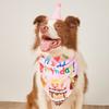 1 Set Pet Hat Neckerchief Letter Printing Eye-catching Pet Dogs Hat Bib Birthday Costume Pet Supplies