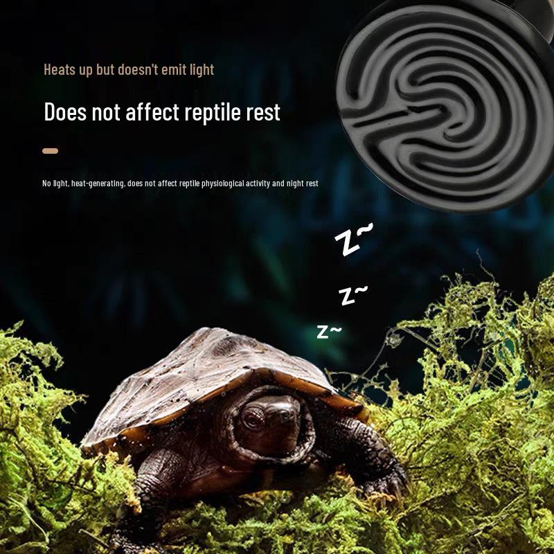 Keramik-Heizlampe für Reptilienterrarium: 220V Wärme für Schildkröten, Echsen, Geckos, Schlangen