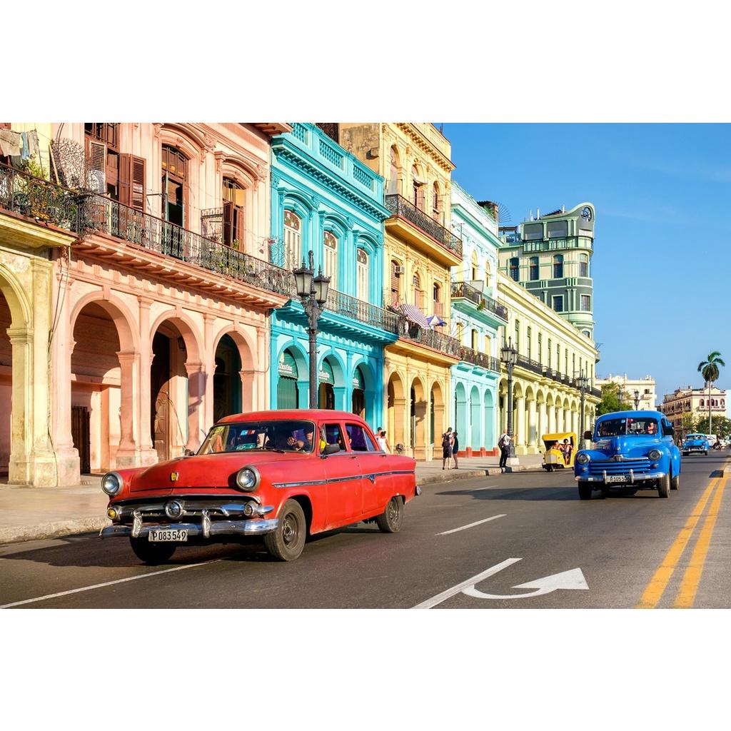 

500 шт. головоломка для взрослых, пейзаж, город, картина маслом, детская игрушка с животными