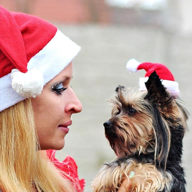 1-20PCS Christmas Pet Santa Hat Red Plush Soft Holiday Cap for Dogs Cats Festive Party Costume Cute Photoshoot Decoraton