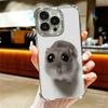 Funny Sad Hamster Meme Plating Phone Case For Iphone 16 17 Pro Max Air 16E 14 15 Plus 12 13 Mini Anti-Fall Airabag Cover