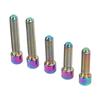 5Pcs Derailleur Screws M4 3Pcs 13.5 2Pcs 20mm Titanium Alloy Rustproof Easy Installation Cage Screws for Mountain Bike