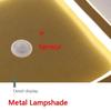 New Human PIR Motion Sensor  Ceiling Lights  Corridor Balcony Bedroom Indoor Ceiling Lamps Induction Lighting Decor