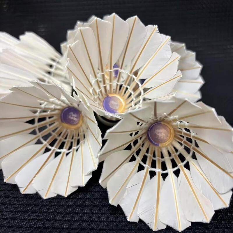 Student Training Badminton Shuttlecocks