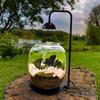 Micro Landscape Plant Growth Lamp with Timmer Height Adjustable Flicker Free Sunlight-like Spectrum