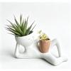 Vaso Faccina Pigra Divertente, Vasi Pianta Novità Goffi con Foro di Drenaggio, Vaso Fiore Decorativo Unico per Interno Esterno Decorazioni Giardino Succulente
