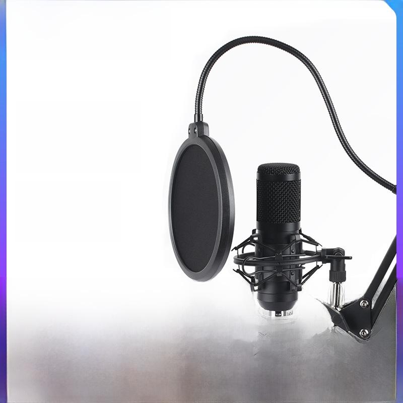 Double-Layer Windproof Metal Spray Cover for Outdoor Broadcasting Microphone