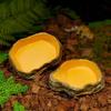 Tree Stump Shape Reptile Feeding Bowl Multicolor Reptile Bathtub  for Tortoises