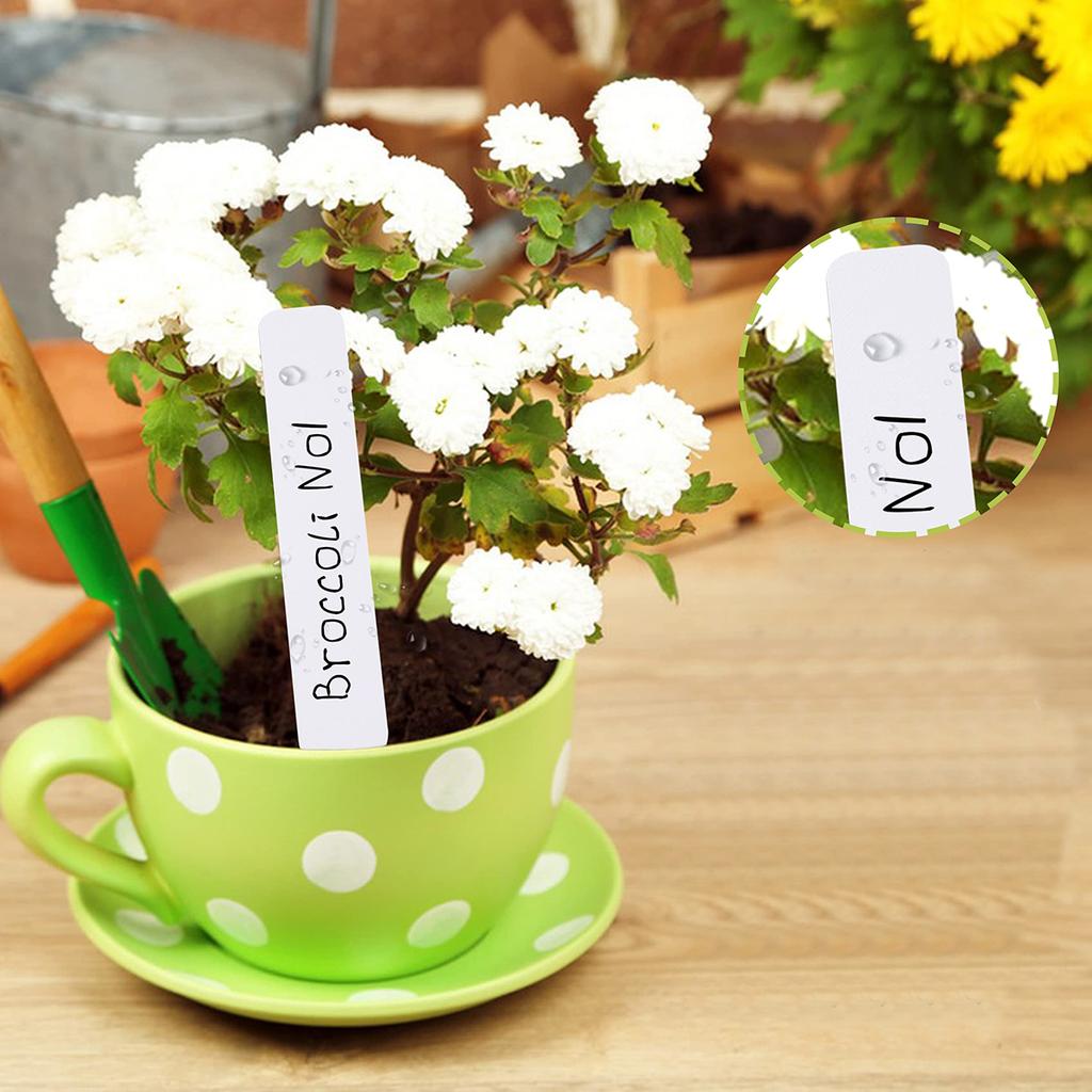 100Pcs Set Plant Markers Plastic Plant Labels Plant Name Tags for Seedlings Garden Labels Nursery Plant Tags Seed Labels