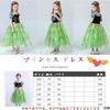 ANONIE Princess Dress Cosplay One Piece Kids Costume Frozen Anna Dress Girls Princess Birthday Christmas Gift Luxury 6 Piece Set Green 110-3