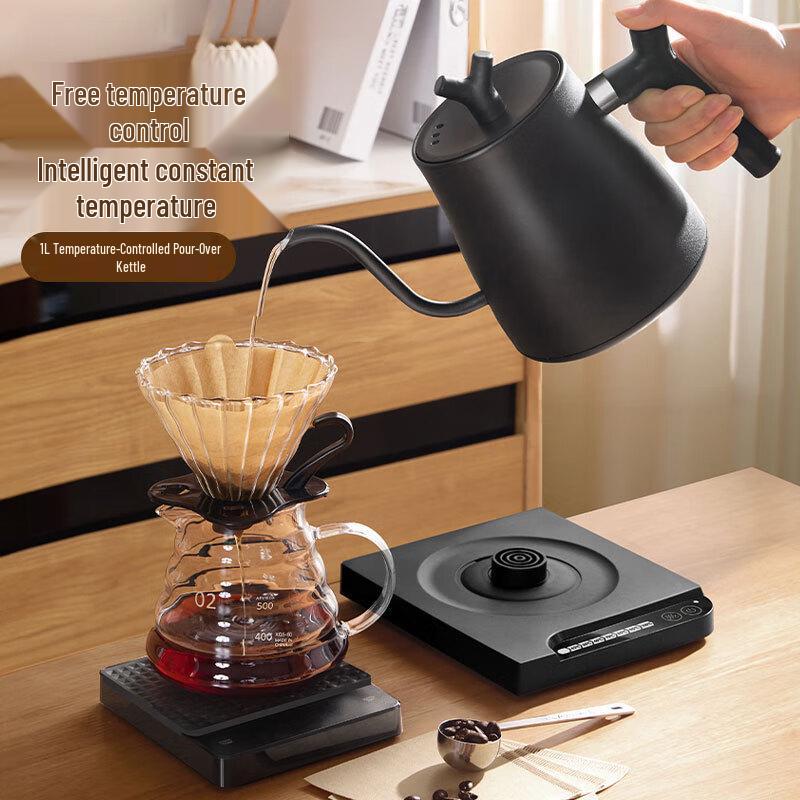 Temperature Control Gooseneck Electric Kettle