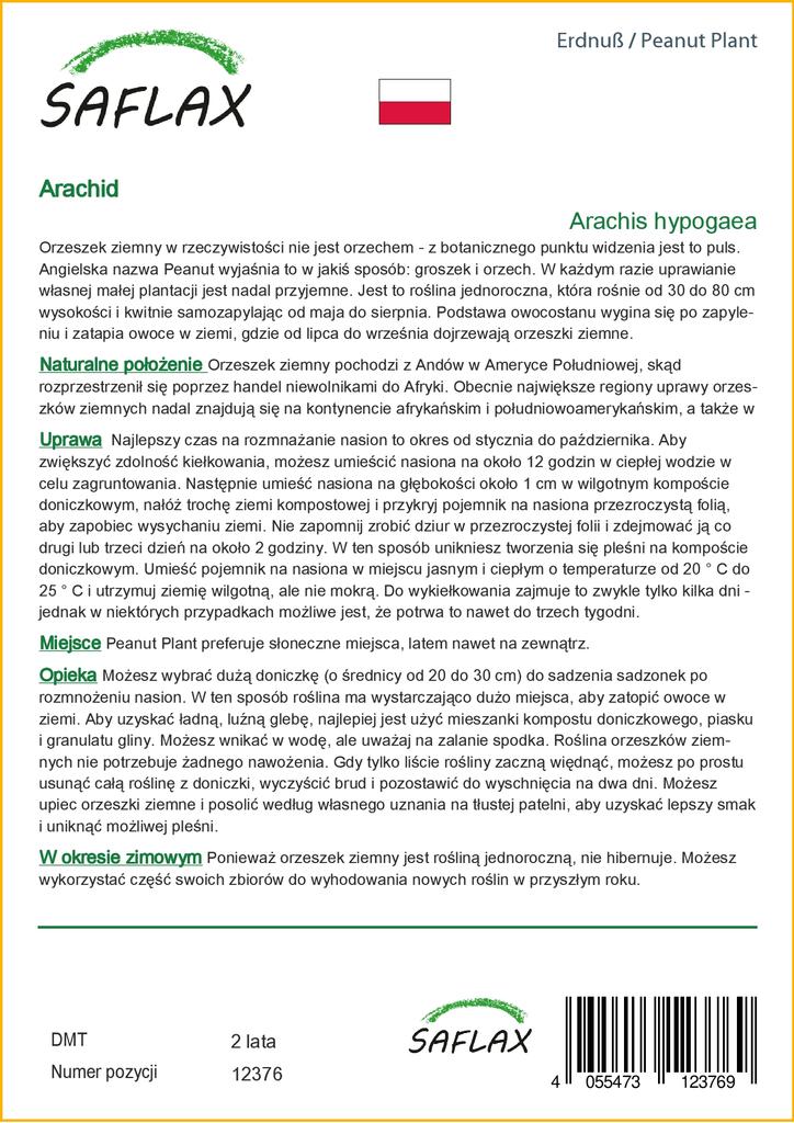 SAFLAX Arašíd - 8 semen - Arachis hypogaea