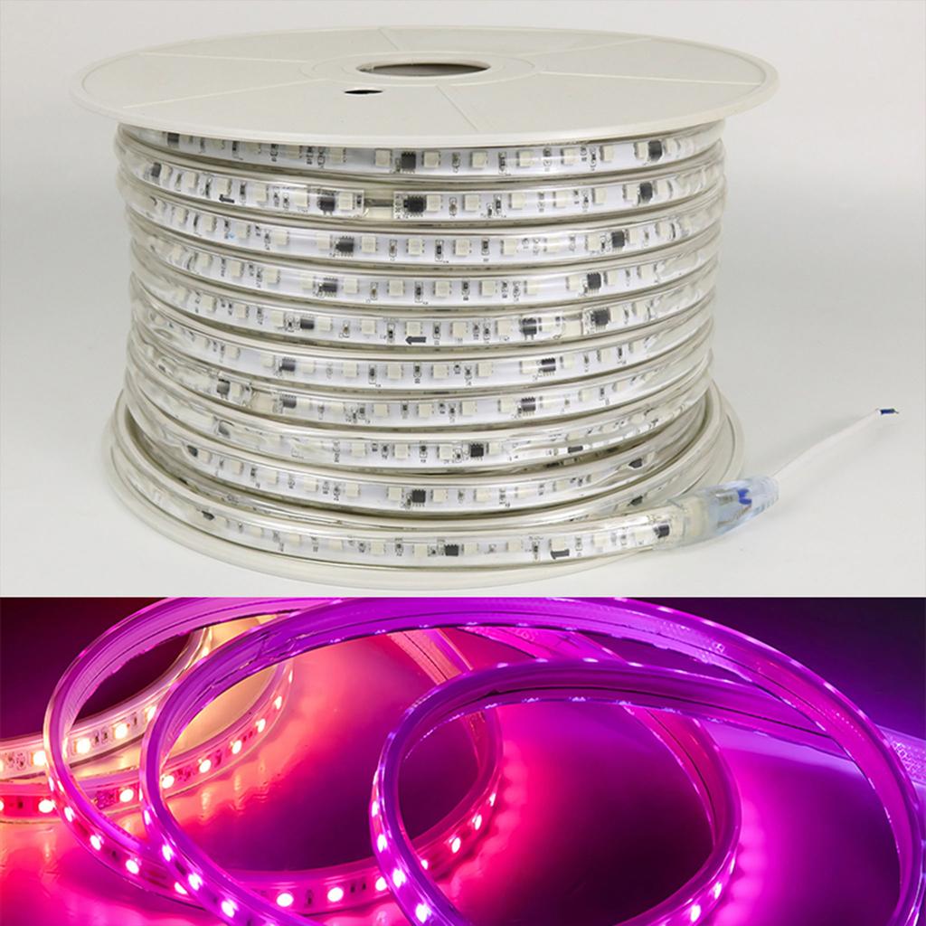 LED strip 1m 220V RGB CCT SMD5050 60LED/m 14W/m 10mm
