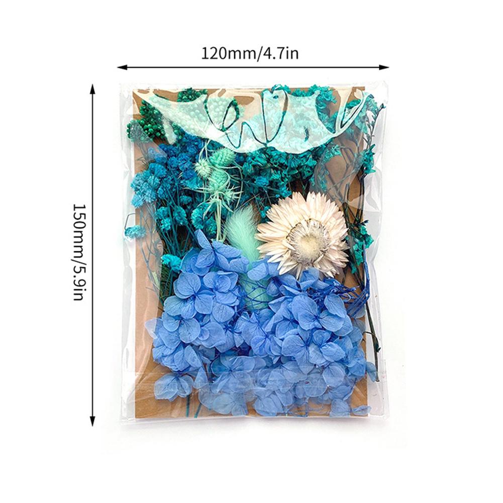 1 Bag Dried Flowers Pressed Dry Flower For DIY Phone Case Epoxy Resin Filling Pendant Jewelry Making Crafts Nail Art Decor