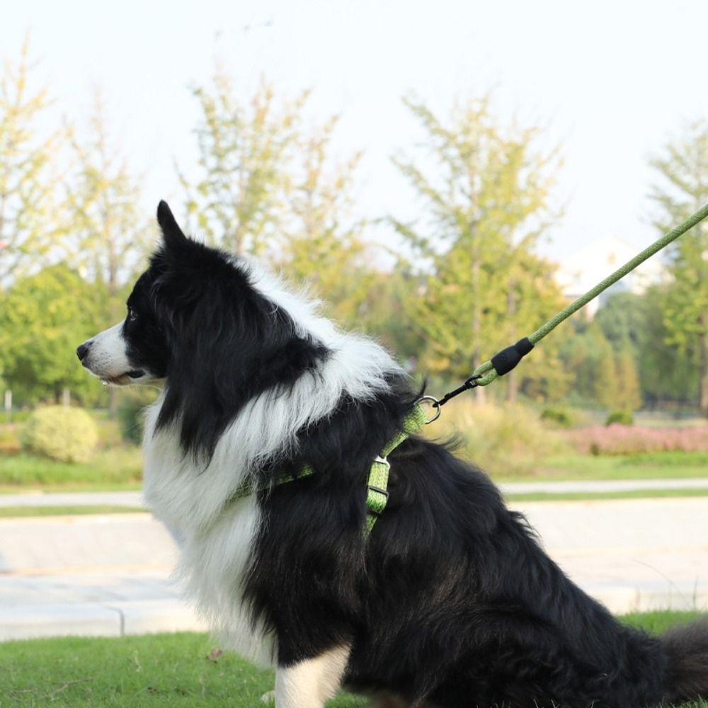 Lightweight Pet Chest Strap Escape Proof Cat Collar Lead Leash Dog Harness and Leash Set Walking