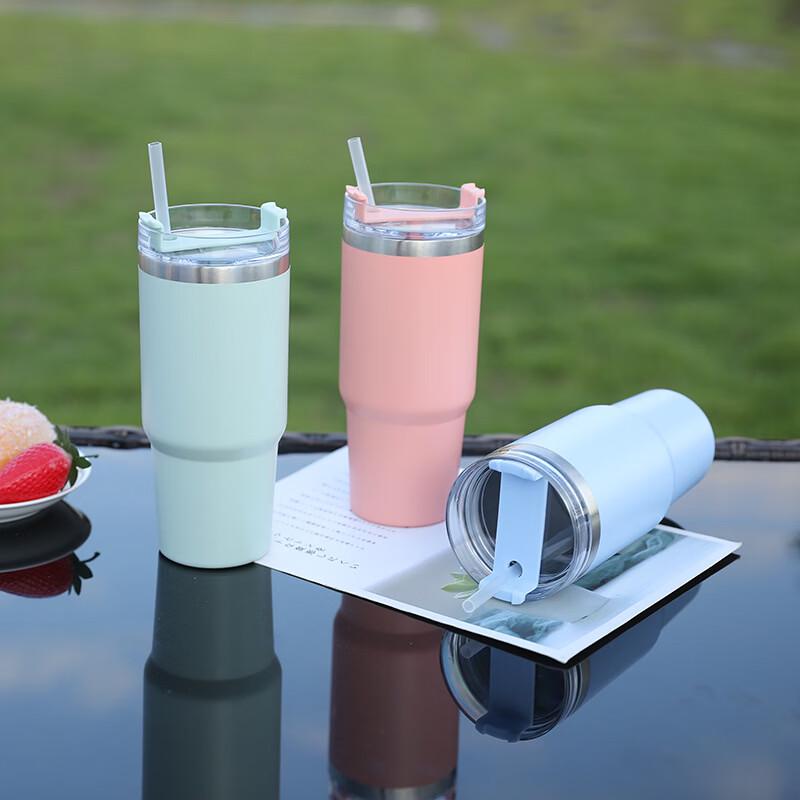 Insulated Stainless Steel Water Bottle with Handle & Straw