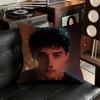 NNoah Will SSchnapp Pillow Case Antidustmite Pillowcase Invisible zipper silky short plush Sofa cushion cover